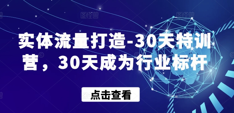 实体流量打造-30天特训营，30天成为行业标杆-38致富网